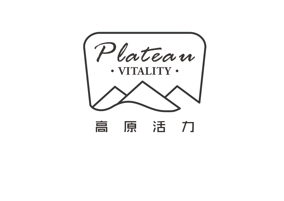 高原活力功能性保健食品品牌標志設(shè)計